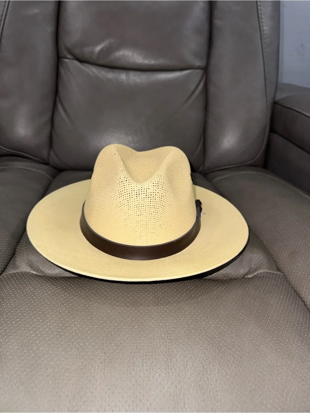 Beige Straw Fedora with Dark Brown Leather Band